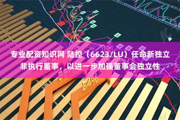 专业配资知识网 陆控（6623/LU）任命新独立非执行董事，以进一步加强董事会独立性